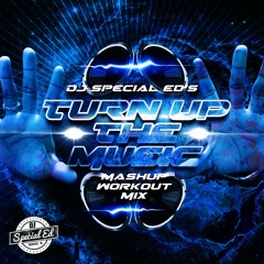 DJ Special Ed's Turn Up The Music Workout Mashup Mix
