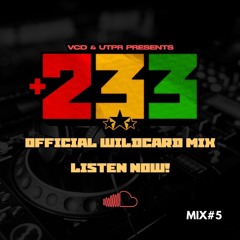 +233 WILDCARD MIX ENTRY 5