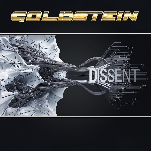 GOLDSTEIN - DISSENT