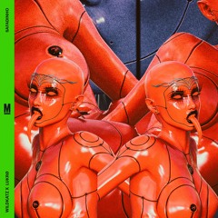 [PREMIERE] Lukrø x Wildkatz - Safadinho [Matraca]