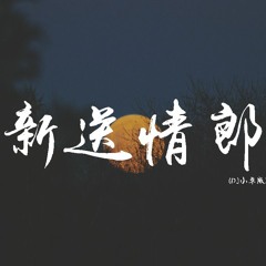 張曉棠 - 新送情郎 (DJ小卓版)【動態歌詞/pīn yīn gē cí】