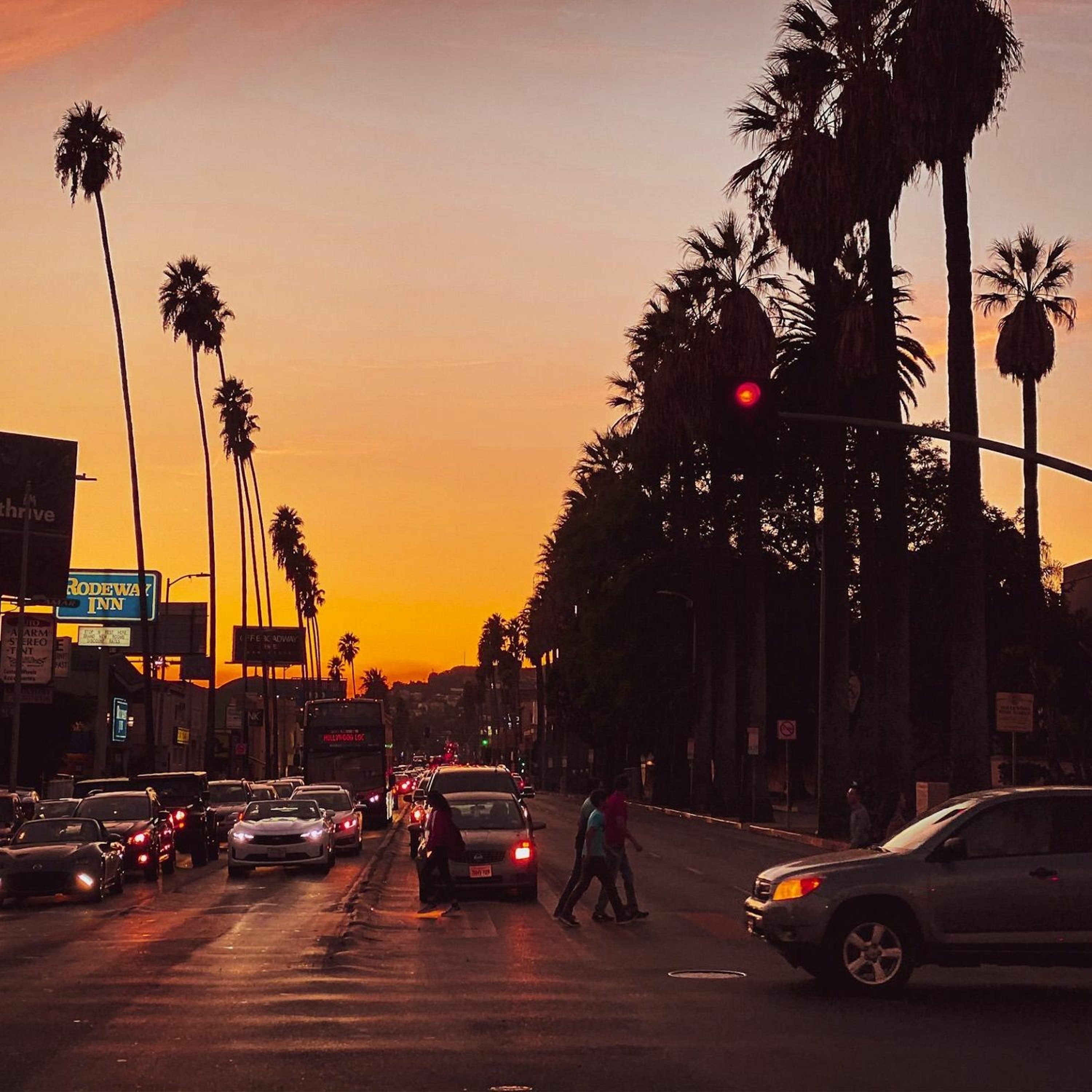 sunset blvd. episode artwork