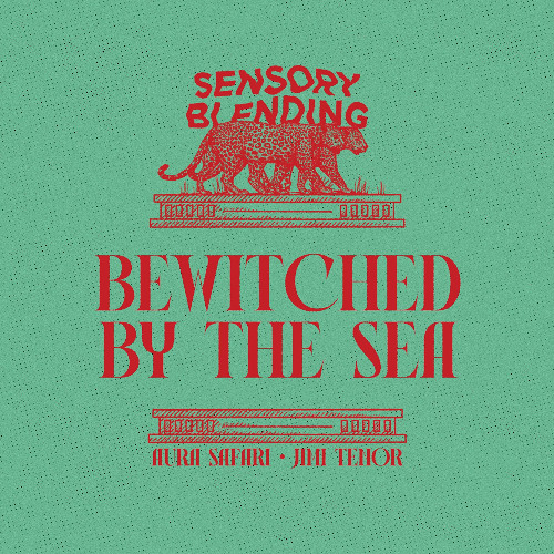 Aura Safari & Jimi Tenor - Bewitched By The Sea (Original Mix)