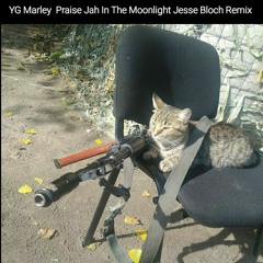 ➡️ Jesse Bloch Remix ⬅️ YG Marley - Praise Jah In The Moonlight.