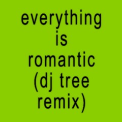 Charli XCX - Everything is romantic (amanda6 Remix)