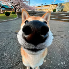 #jedagjedug (Slowed)