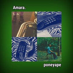 Pone Yape - Amara