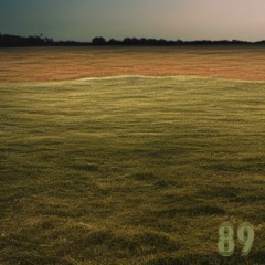 Soundscape Experiment #89