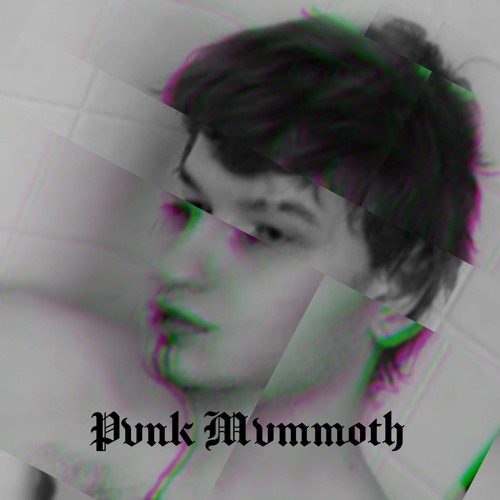 Fvnk Mammoth - R.I.P (Ft. Løn3jay & Sky3) BONUS TRACK