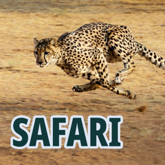 SAFARI