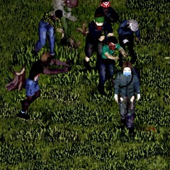 while playing project zomboid