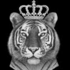 WHO IS THE TIGER KING?