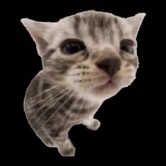 qant lose (prod.pattt)