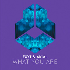 EXYT & AKIAL - What You Are (Extended Mix)