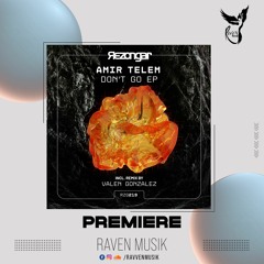 PREMIERE: Amir Telem - Don't Go (Valen Gonzalez Remix) [Rezongar Music]