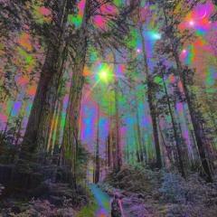 Dubstep IV