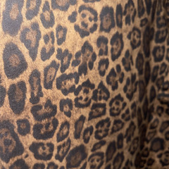 Wait for me (jaechii x typhelicia )