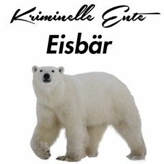 Kriminelle Ente- Eisbär