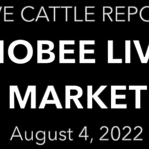 Episode 31: Weekly Cattle Report with Todd 8.3.22