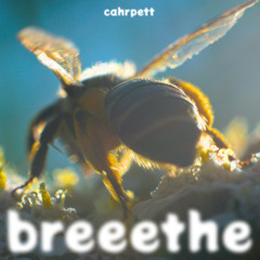 breeethe