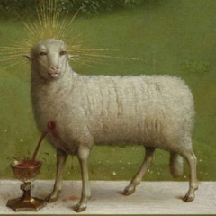 live @ Aries Dominion 31-05-2025