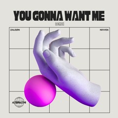ZALEØN & NIVVEK - You Gonna Want Me (Remix)