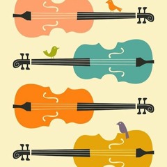 SHORTS -  Museum of musical instruments