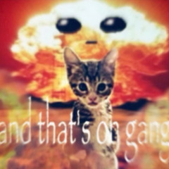 say i  bs, i ain cap prod. youlowmobb