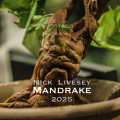 Mandrake - 2025