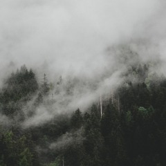 Padwen - Vibras Del Otoño