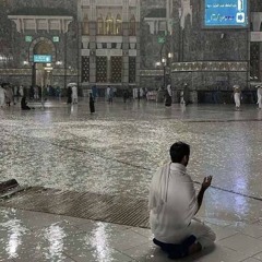 يوم تشهد عليهم ألسنتهم وأيديهم وأرجلهم -  من سورة النور للشيخ احمد سعيد مندور