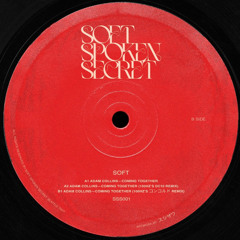 [PREMIERE] Coming Together (100HZ'S DC10 Remix) - Adam Collins | Soft Spoken Secret [2025]