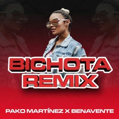 Karol G - Bichota (Pako Martinez X Benavente Remix)