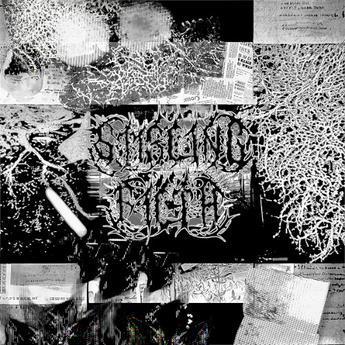 Entirepresence (falling through)