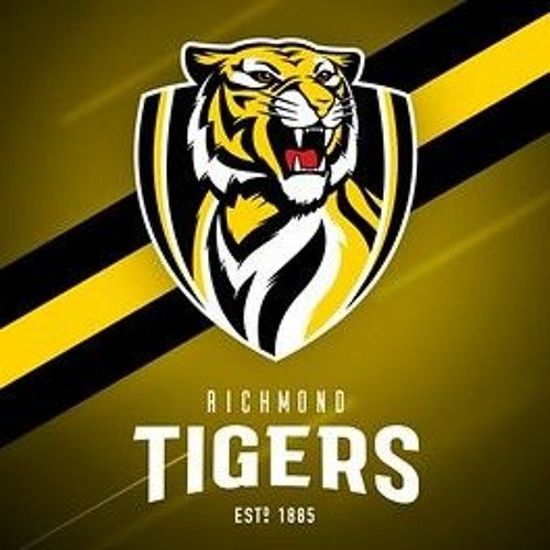 TIGERS AMIN OIAO [2021]🔥💯