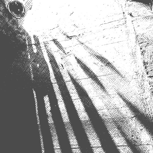 ONTHEPEDAL
