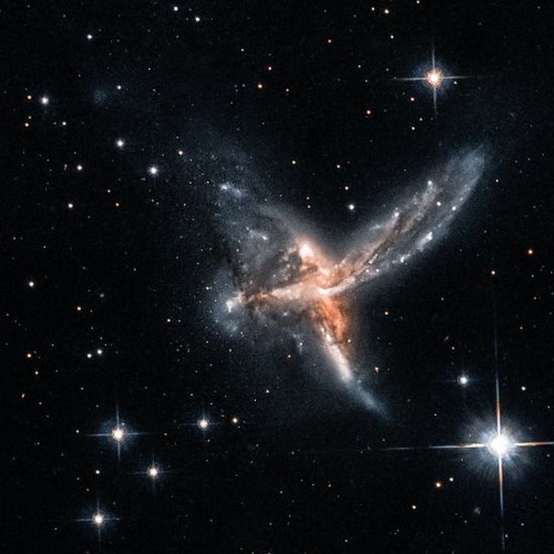 ST - TINKERBELL TRIPLET /////