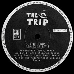 TESS020 The Trip - Remixes PT 1