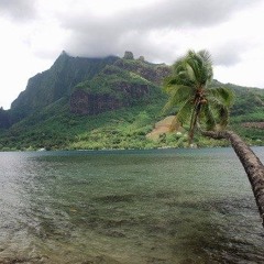 In Love (goyxrd) [summrs & desire remix]