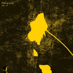 Pétales (prod.aurore.)