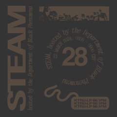 STEAM #28