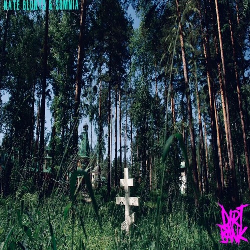 Nate Blunt$ & SOMNIA - Frameless(Ft. Gr3y)(Prod by SOMNIA)