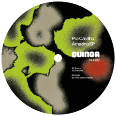 SNIPPETS: Que Sakamoto & NT - Pra Caralho Amazing [QUI006]
