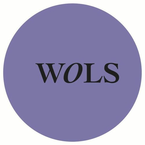 WOLS006 - B1 - ERROR POLYNOMIAL