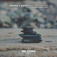 PREMIERE: Orange & Indigo - Robot Meditation (amháin Remix) [3rd Avenue]