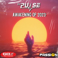 dj pulse awaking of 2023