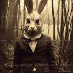 Rabbit Food