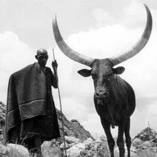 04. SHWELE (Prod. Hurricane Dan Fischer)