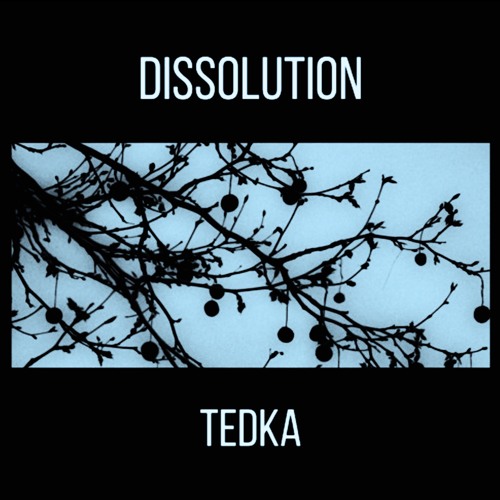 DISSOLUTION 99 II TEDKA