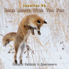 Lunatics 96 / Roam About With The Fox / Ratzzz & joerxworx